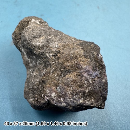 Stannite crystal cligga - cligga, head