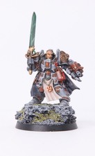 Warhammer 40k Awesome Brother Captain Stern pro painted Grey Knights OOP