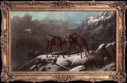 Large 19th century - 19th,