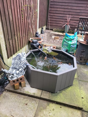 Small hexagon garden pond - small,