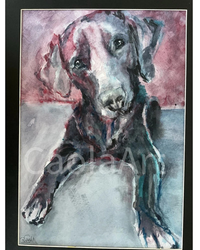 Black labrador dog watercolour - black,