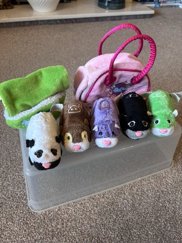 Zhu pets plush - zhu,