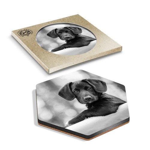 Hexagon coaster bw - hexagon,