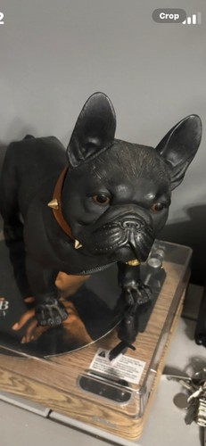 Mini french bulldog - bulldog, wireless