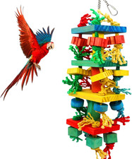 Chewing large parrot - chewing, toys,bird
