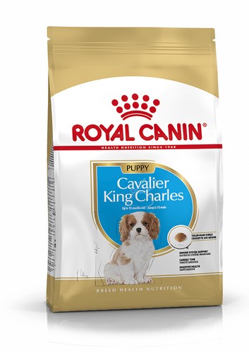 Royal canin cavalier king - cavalier,