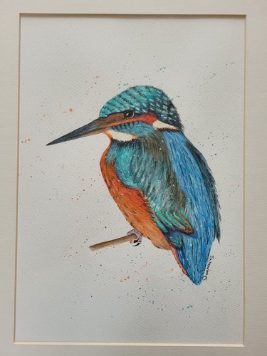 Framed original kingfisher - framed,