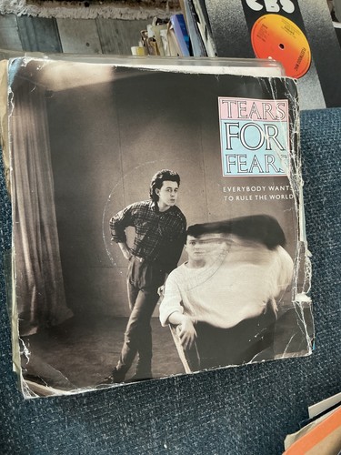 Tears for fears everybody - for, fears.