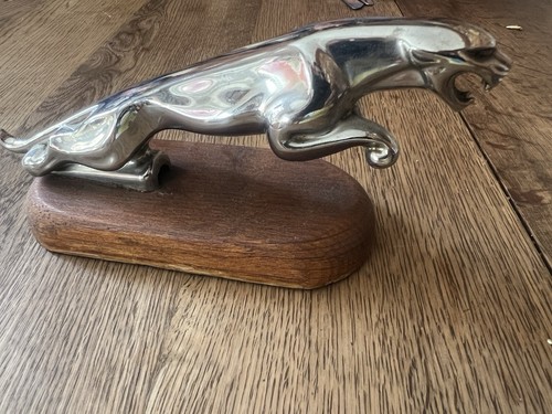 Jaguar mascot originally - originally,