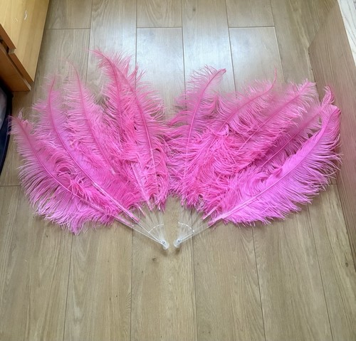 Pair pink ostrich feather - ostrich,