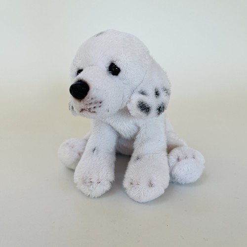 Suki dalmatian soft - dalmatian,