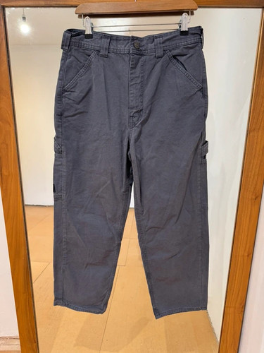 Bdg urban outfitters carpenter - bdg,
