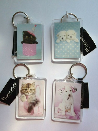 Dog puppy kitten key - 1, dog/puppy