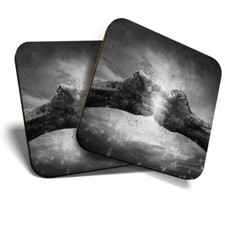 2 x Coasters (BW) - Fire Fist