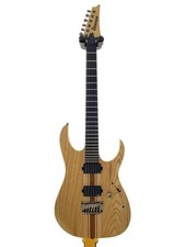 Ibanez Electric Guitar
