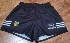 Donegal 2024 Player Issue -