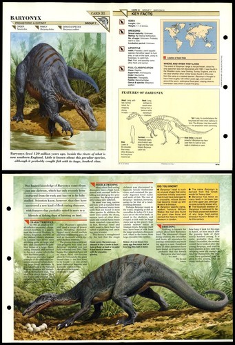 Baryonyx extinct wildlife - extinct,