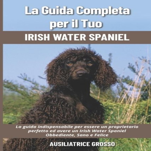 Guida completa per tuo - la,
