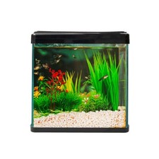 Swell Small Nano Aquarium 30cm