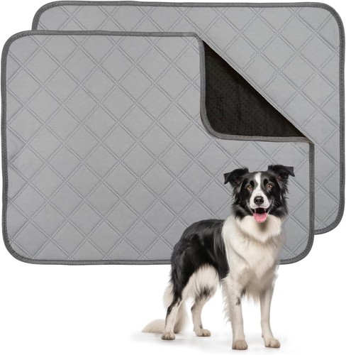 Pack washable puppy - pack,