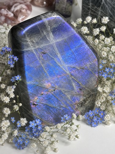 Spectrolite unicorn purple - spectrolite,