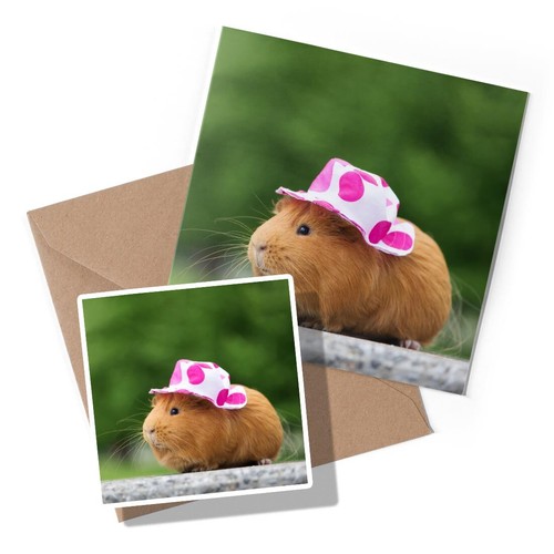 Greeting card sticker - x, &