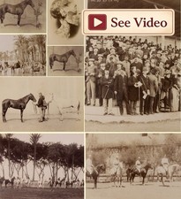 EGYPT c.1889 - see video - 8
