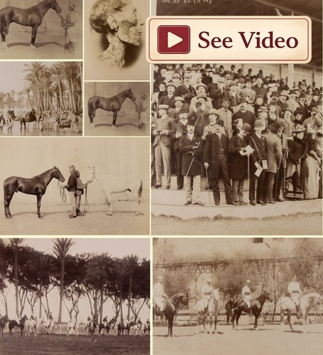 Egypt 1889 see video 8 - -,
