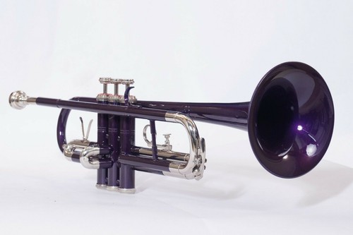Summer sale trumpet purple - summer,