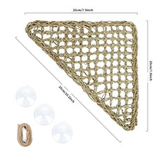 Bearded Dragon Hammock Reptile