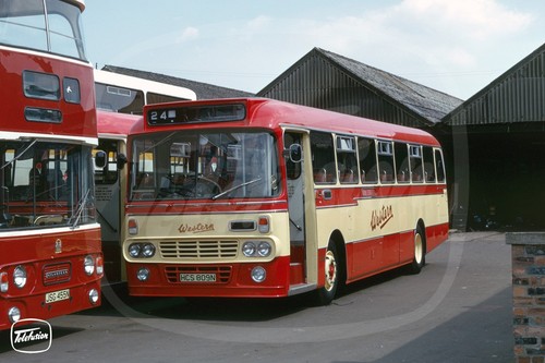 Bus photo western - western, smt