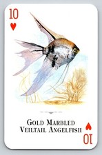 Swap Card Gold Marble Veiltail