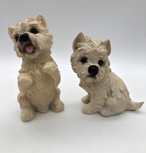 Westie west highland - 2,