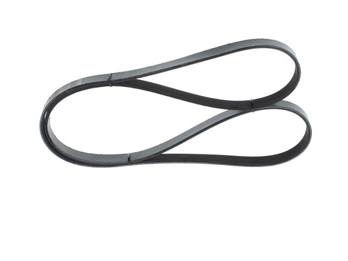 Bosch ribbed belt peugeot - belt,