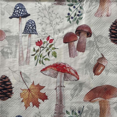 Luncheon paper napkins - paper,