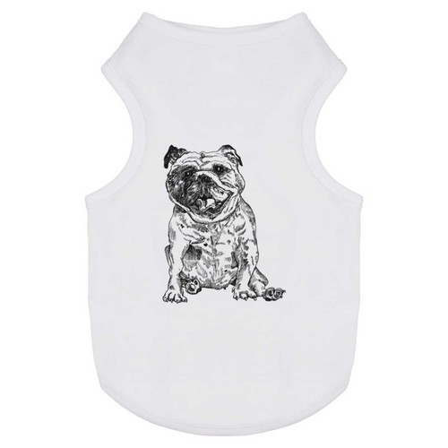 Smiling english bulldog pet - 'smiling,