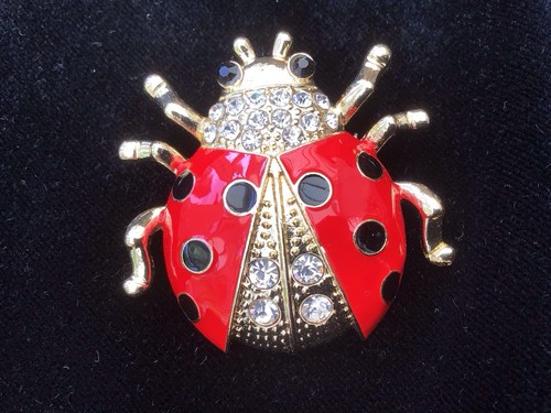 Enamelled lady bug - enamelled,