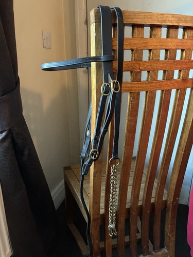 Hand show bridle cob size - hand,