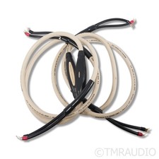 Transparent Audio MusicWave