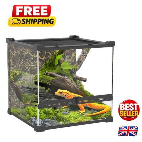 Lockable glass reptile - glass,