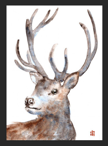 Aceo watercolor print stag - print,