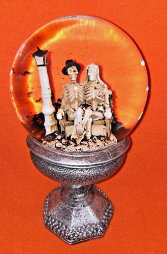 Maxx skeleton couple snow - skeleton,
