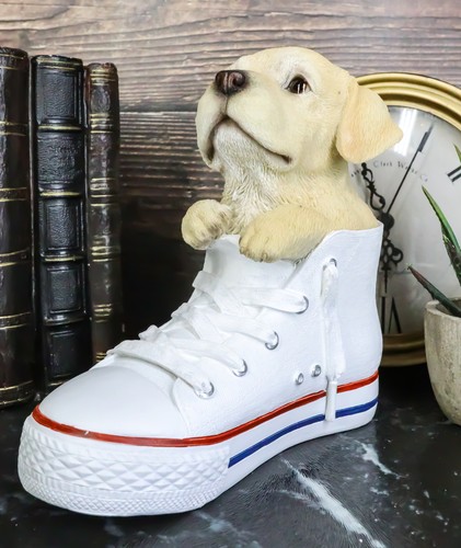 Ebros paw star pups - pups, golden