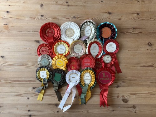 Vintage dog show - 20,