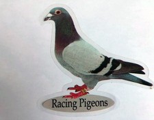 Racing Pigeon Window Stickers