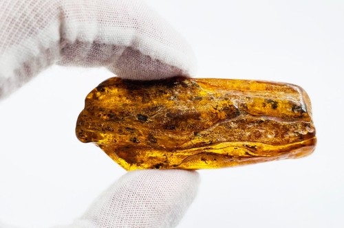 Natural baltic amber stone - baltic,