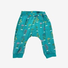 Little Green Radicals