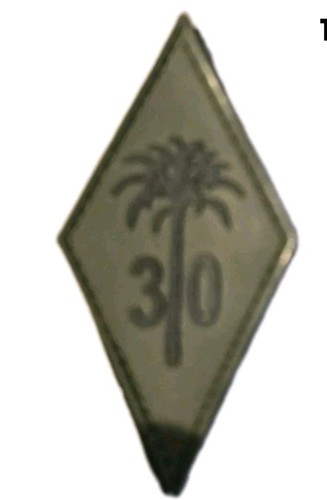 Squadron palm tree - 30,