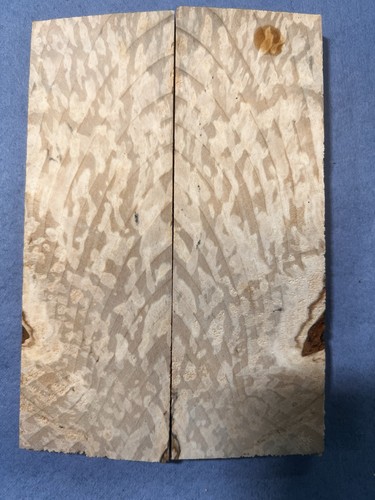 Spalted beech knife - beech, scales/