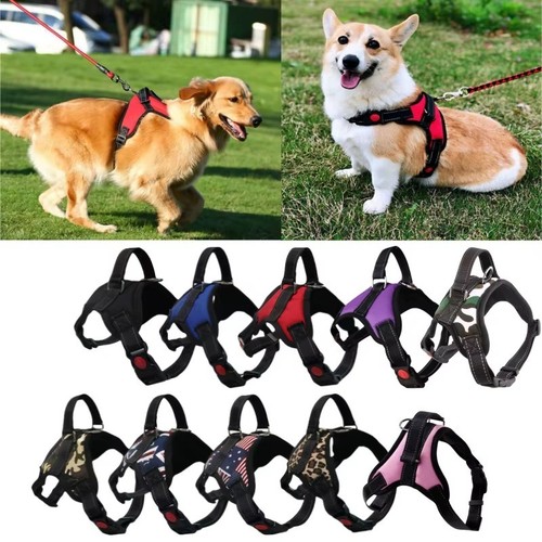 Dog harness pull for small - pull,